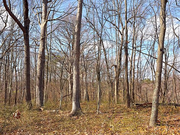 3rd image of 0 Millers Run Back Run Rd