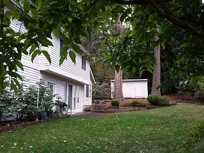 Back Yard - Fenced