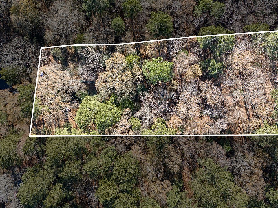 2nd image of 165 Roscoe Lee Dr