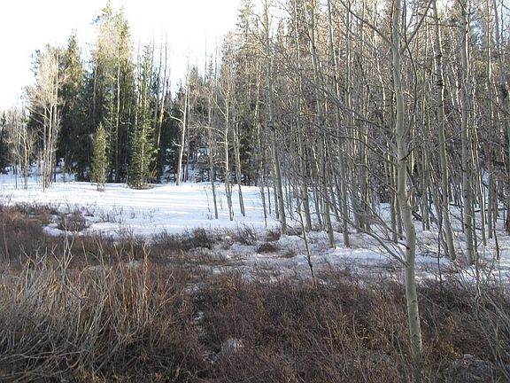 3rd image of 1307 Little Baldy Dr