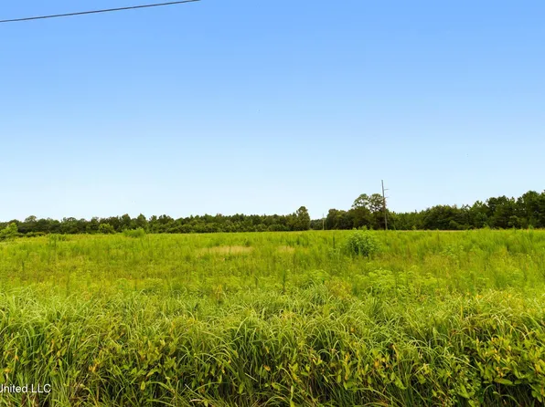 29 Acres Hwy #613, Lucedale, MS 39452