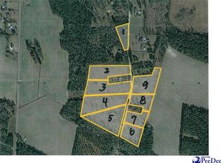 Log Cabin Rd, Darlington, SC 29532