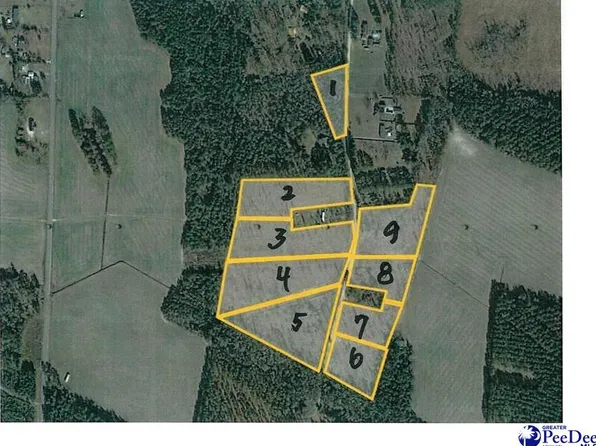 Log Cabin Rd, Darlington, SC 29532