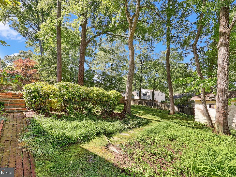 Y.Cameronページ Cameron | Cameron