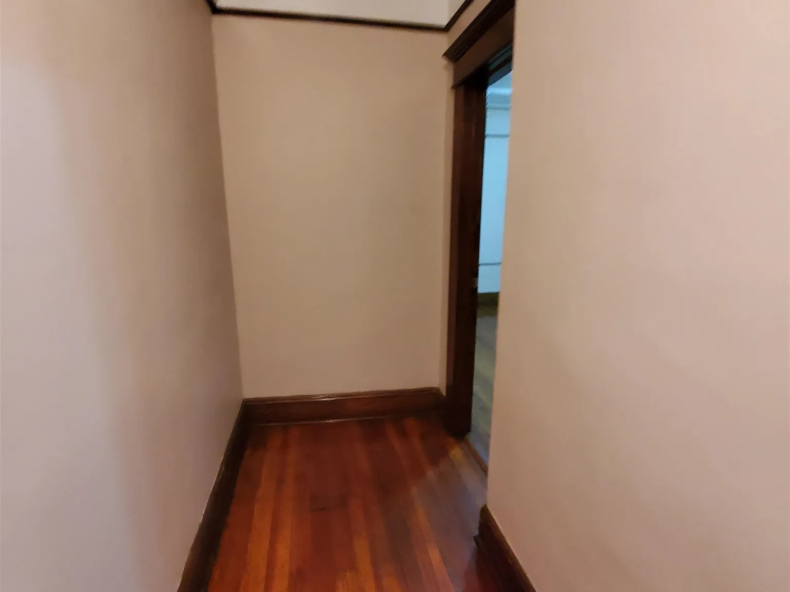 2 bed, 1.0 bath, $2,000 — Photo 3