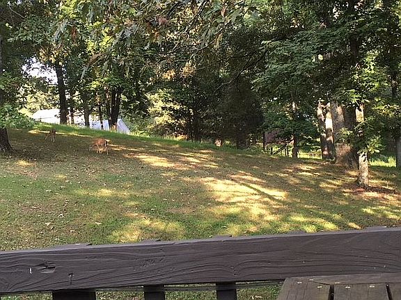 From the Deck