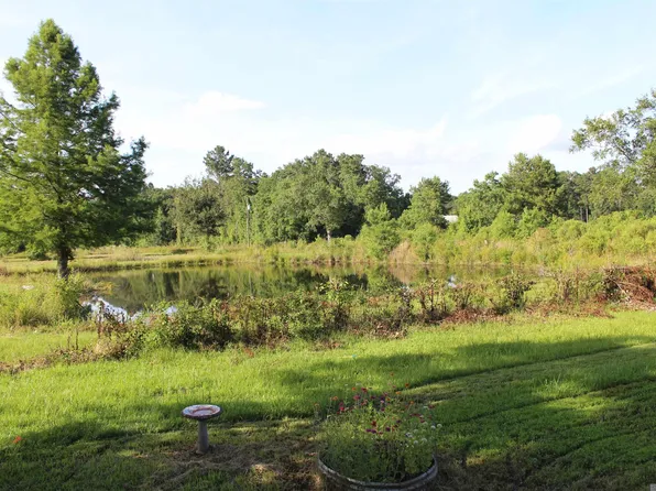 13505 Springfield Rd, Walker, LA 70785