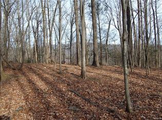 0 Cardinal Rd #313, Lake Lure, NC 28746