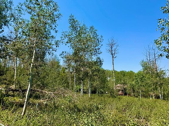 4th image of 10775 E Tanglewood Dr