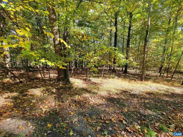 41 Hickory Spring Rd, Roseland, VA 22967