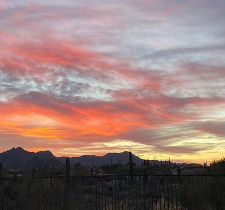 Backyard View