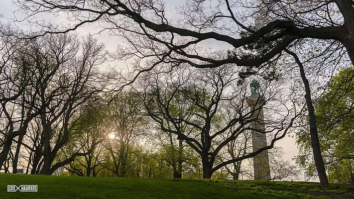 Sold by Citi Habitats | media 46