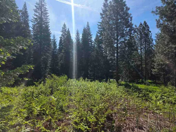 LOT 61 Old Mill Rd, McCloud, CA 96057