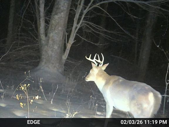 5th image of E Side State Rte #335