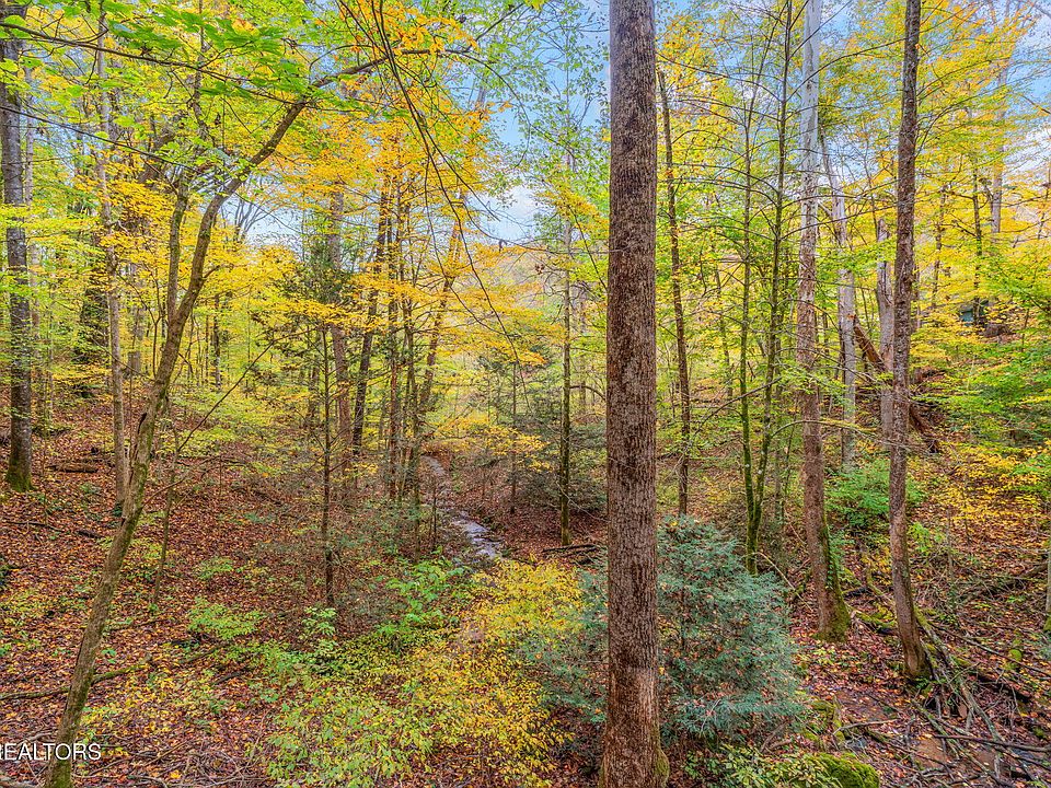46th image of 205 Tobby Hollow Ln