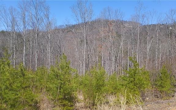 3rd image of 176 Deer Jump Trl