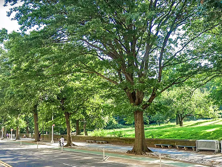 471 Central Park W #3A — Photo 5