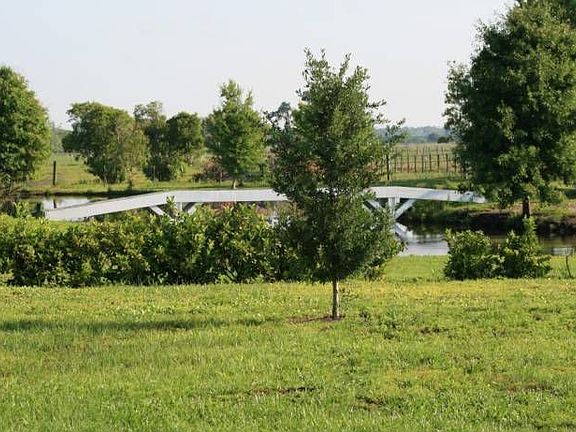 Bridge & pond