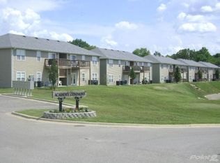 165 Knowledge Ave #1, Branson, MO 65616