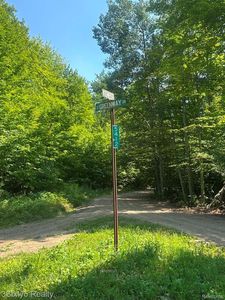 0 Ky Hwy, Ken Pen Frederic, MI, 49733