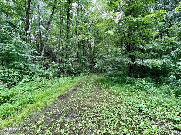 Sycamore St, Sevierville, TN 37876