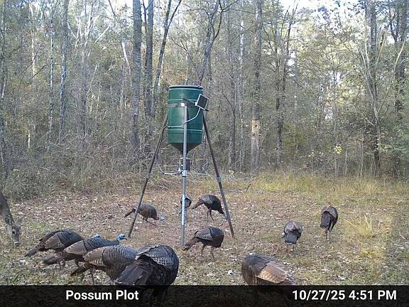 5th image of NULLB Pat Luckett Rd