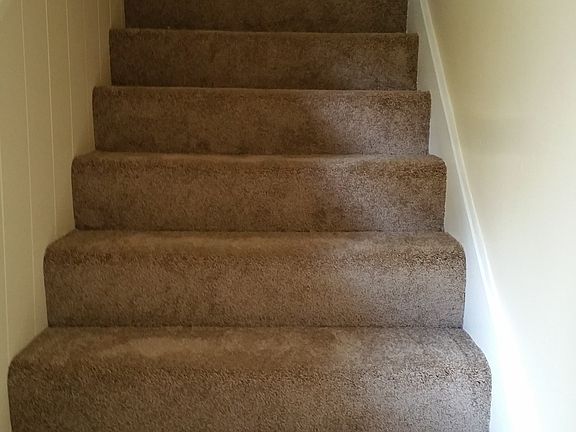 New Carpet