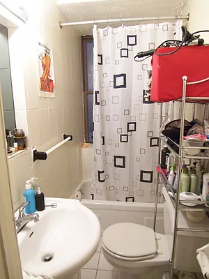 Rented by Citi Habitats | media 12