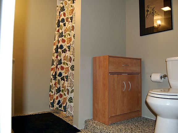 Basement Bathroom