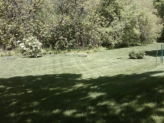 Back yard 19,000 sq feet