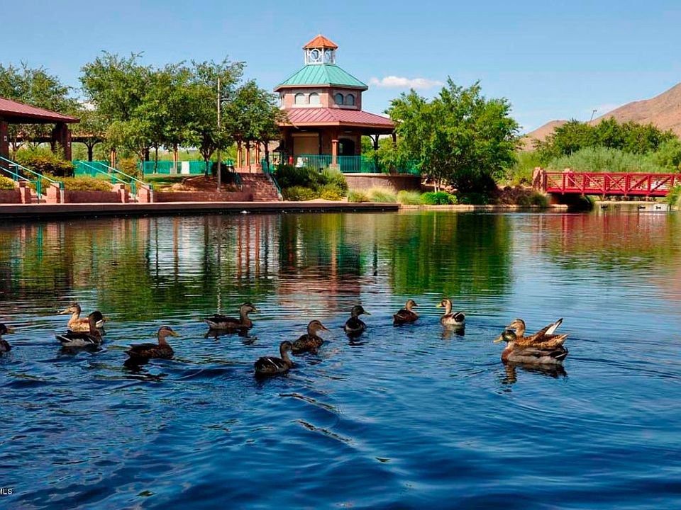 Anthem Community Lake