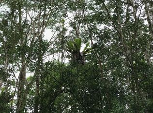 Niihau Rd LOT 722, Pahoa, HI 96778