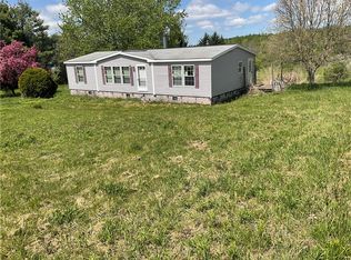 10143 Shaul Rd, Cassville, NY 13318