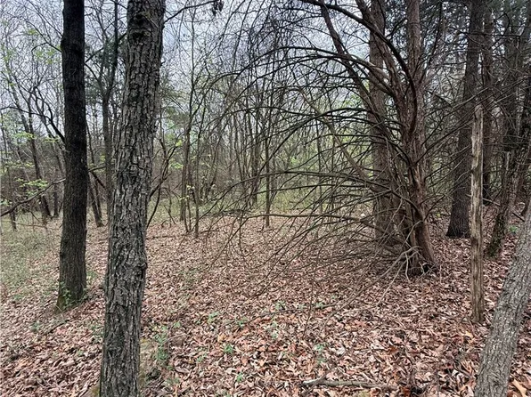 4 County Road 906, Green Forest, AR 72638
