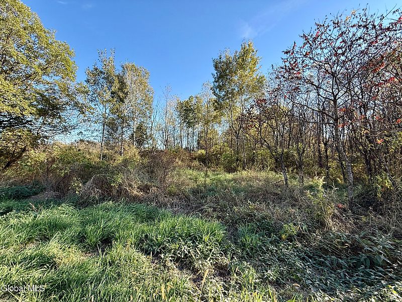 3rd image of L4.1 New Swamp Road