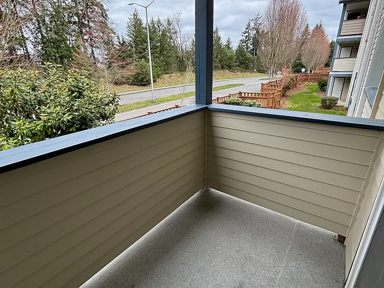 Nisqually Ridge — Photo 54