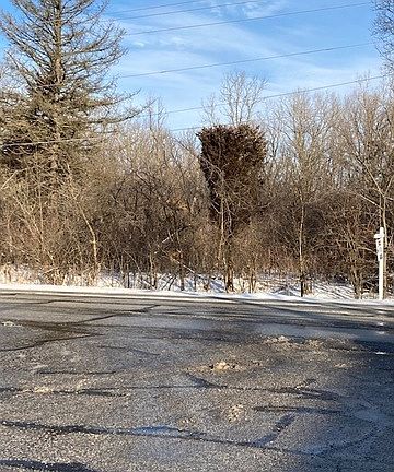 5th image of 425 Oak Meadows Dr