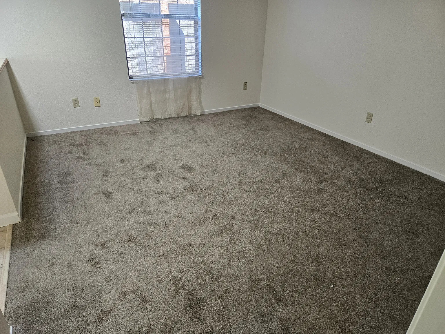 3 bed, 1270 sqft, $5,000 — Photo 4