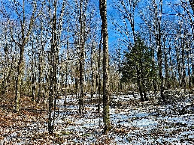 xxx 13-acres County Road EE, Arthur Twp, WI, 54732, MLS: 7625229