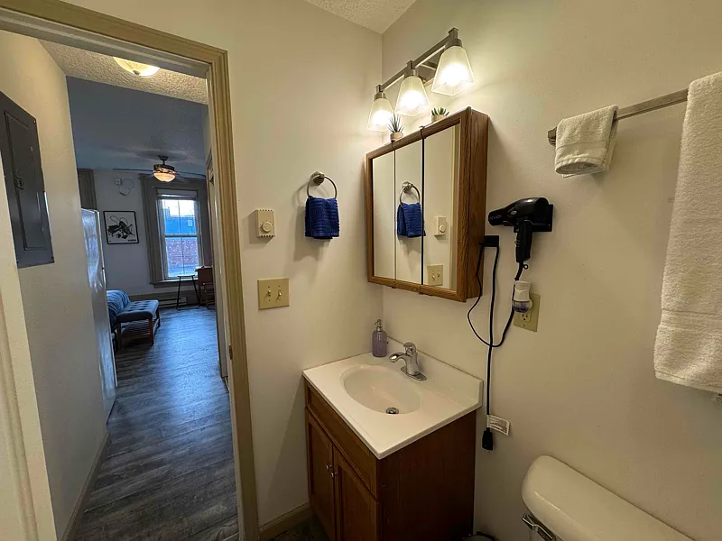 1 bed, 286 sqft, $700 — Photo 4