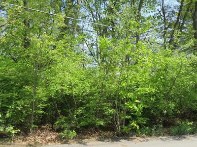 LOT 653 Farmington Rd, Nashua, NH, 03060