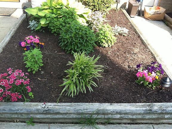 Front flowerbed