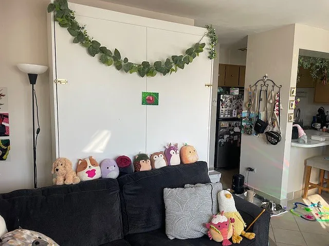 Studio, 500 sqft, $1,250 — Photo 2