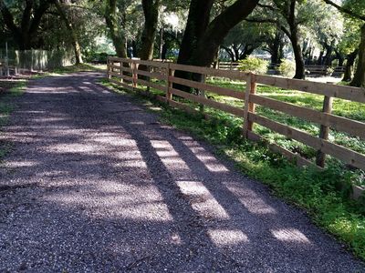 5114 Little Farm Rd, Plant City, FL, 33565