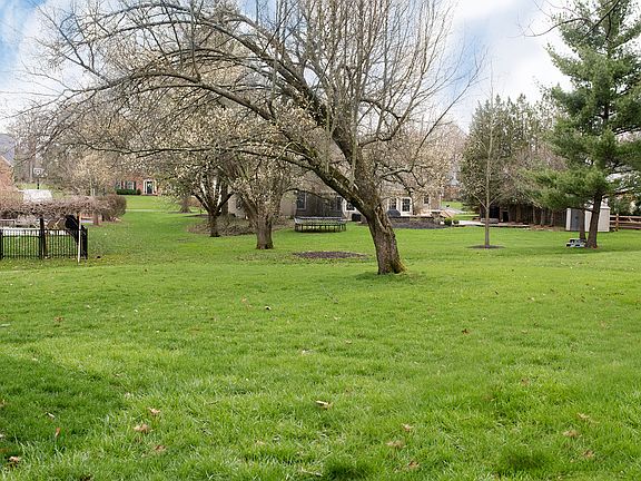 Back Yard Total Yd= .46 Acre