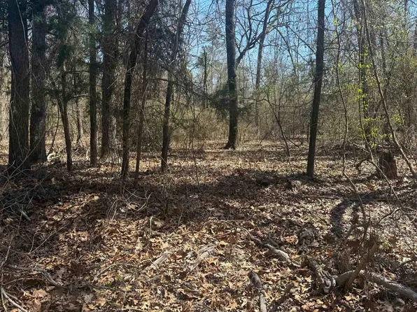 King Arthur Ct, Scroggins, TX 75480