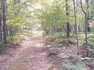 Nine Mile 9 Mile Bridge Rd, Wellston, MI 49689