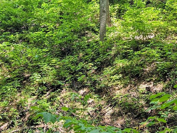 5th image of 15 Emerald Springs Loop Lot 15