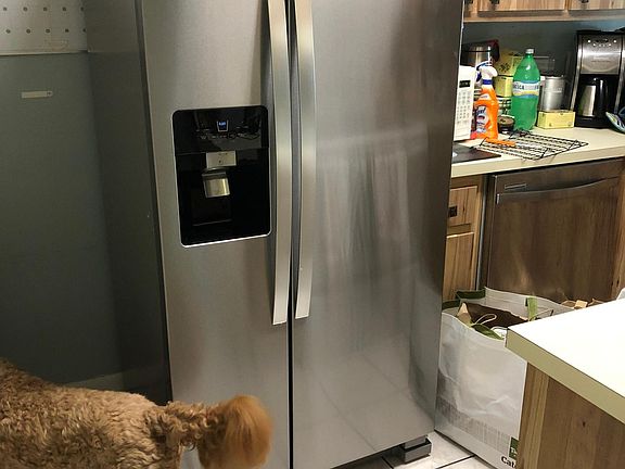 Kitchen with new fridge and dishwasher