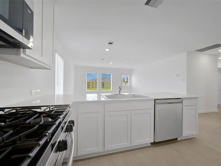 16510 Ithaca Pheasant Dr — Photo 10